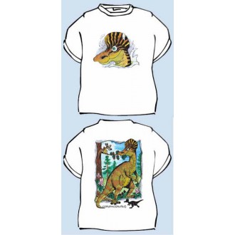 Vtipné trička / cedulky-certifikáty - Dětské tričko Corythosaurus