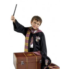 Sada Kufr Harryho Pottera